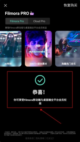 filmoragoVIP解锁版宣传图