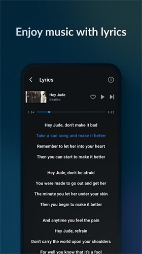 Lark Player播放器4