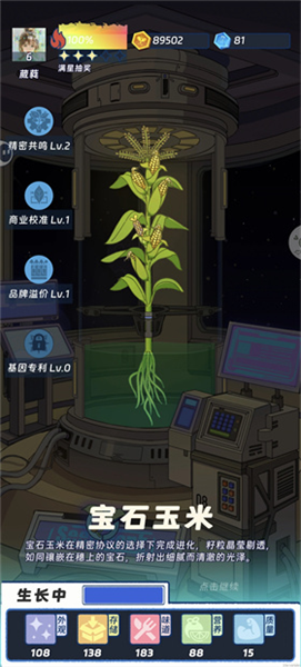 植物品种介绍配图4