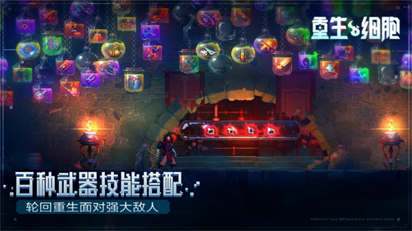 死亡细胞安卓版4