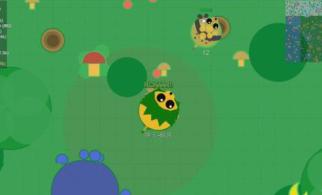 动物大作战正版宣传图