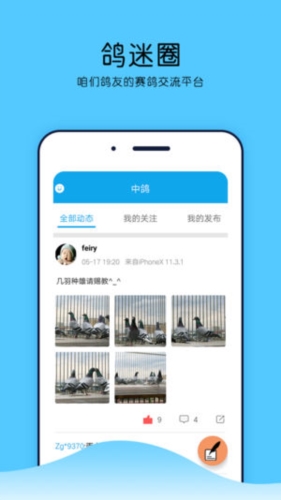 中鸽网app2