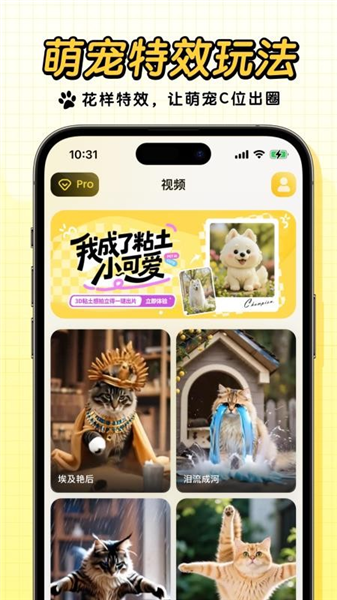 宠玩app3