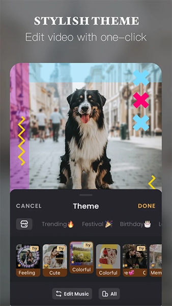 vivavideo会员解锁版5