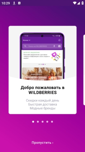 Wildberries图片2