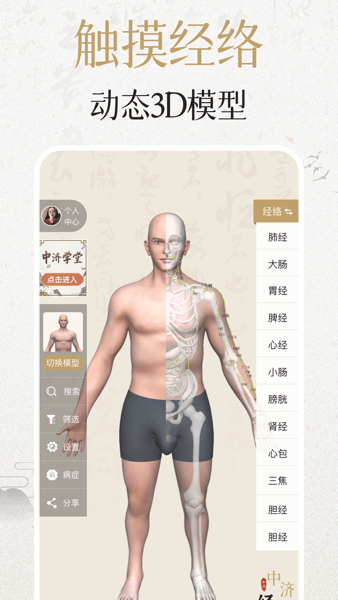 经络穴位3D2