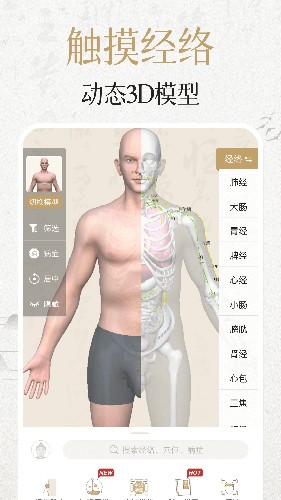 中济经络穴位app1