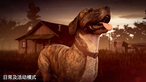 勇闯死人谷2官网安卓版