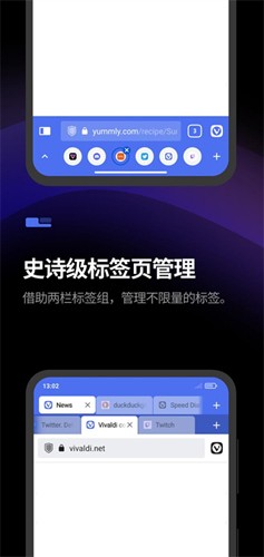Vivaldi浏览器app4