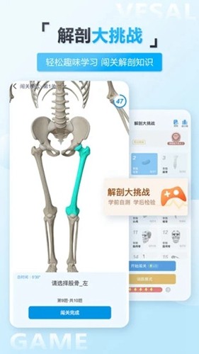 维萨里3d解剖app4