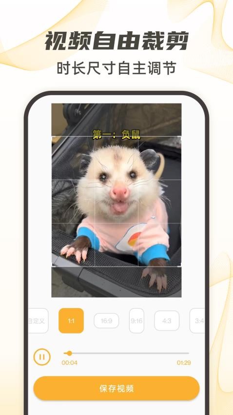 视频下载去水印官方安卓版