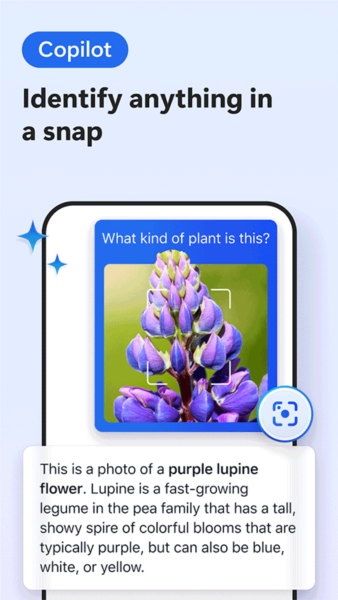Edge Canary金丝雀版3