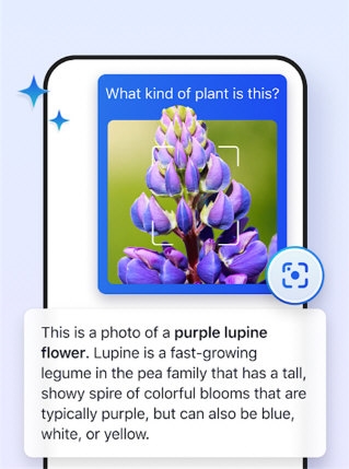 Edge Canary金丝雀版宣传图