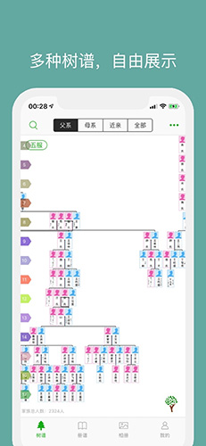 族记app1