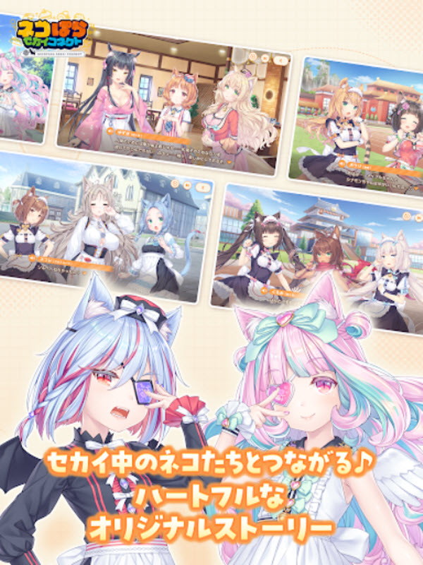 猫娘乐园世界连结国际服2