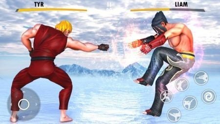 功夫街战斗英雄正式版3