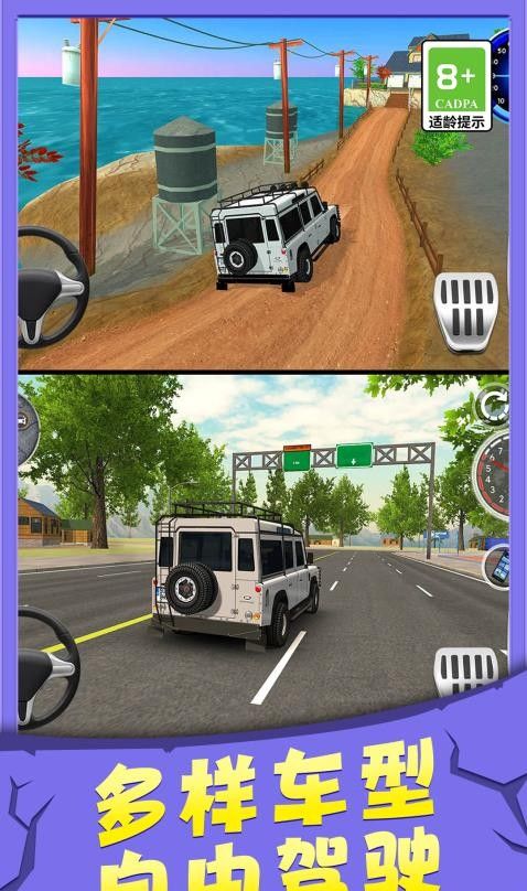 行驶3D模拟器游戏