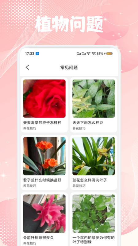 花苞百科app3