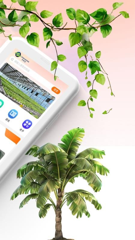 西得香蕉拍卖app3