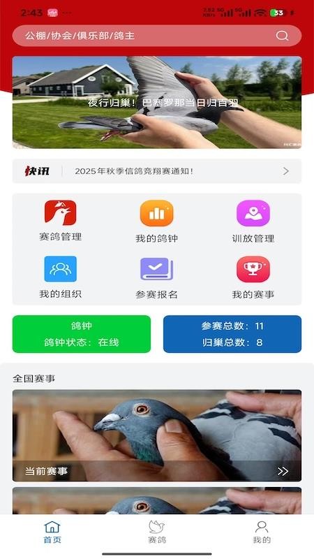 科汇赛鸽最新版1