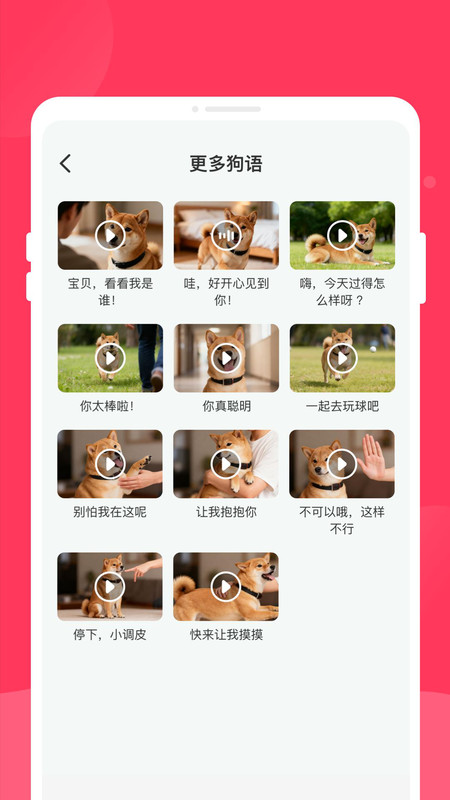 喵汪翻译官app4
