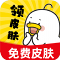 皮肤王国软件