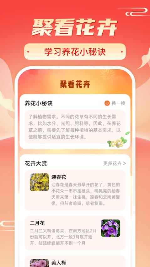 暖阳刷刷app2