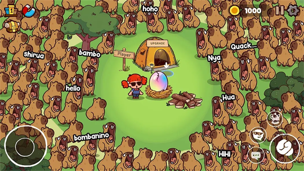 动物园之声游戏2