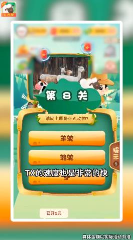 动物小派对游戏2