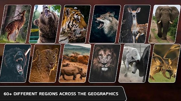 野鹿猎人2023游戏2