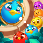 Little Bird Evolution游戏