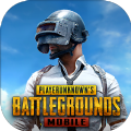 地铁逃生PUBG国际服官方手机版