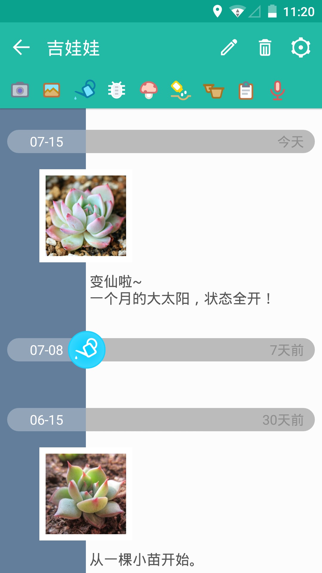 多肉成长记软件2