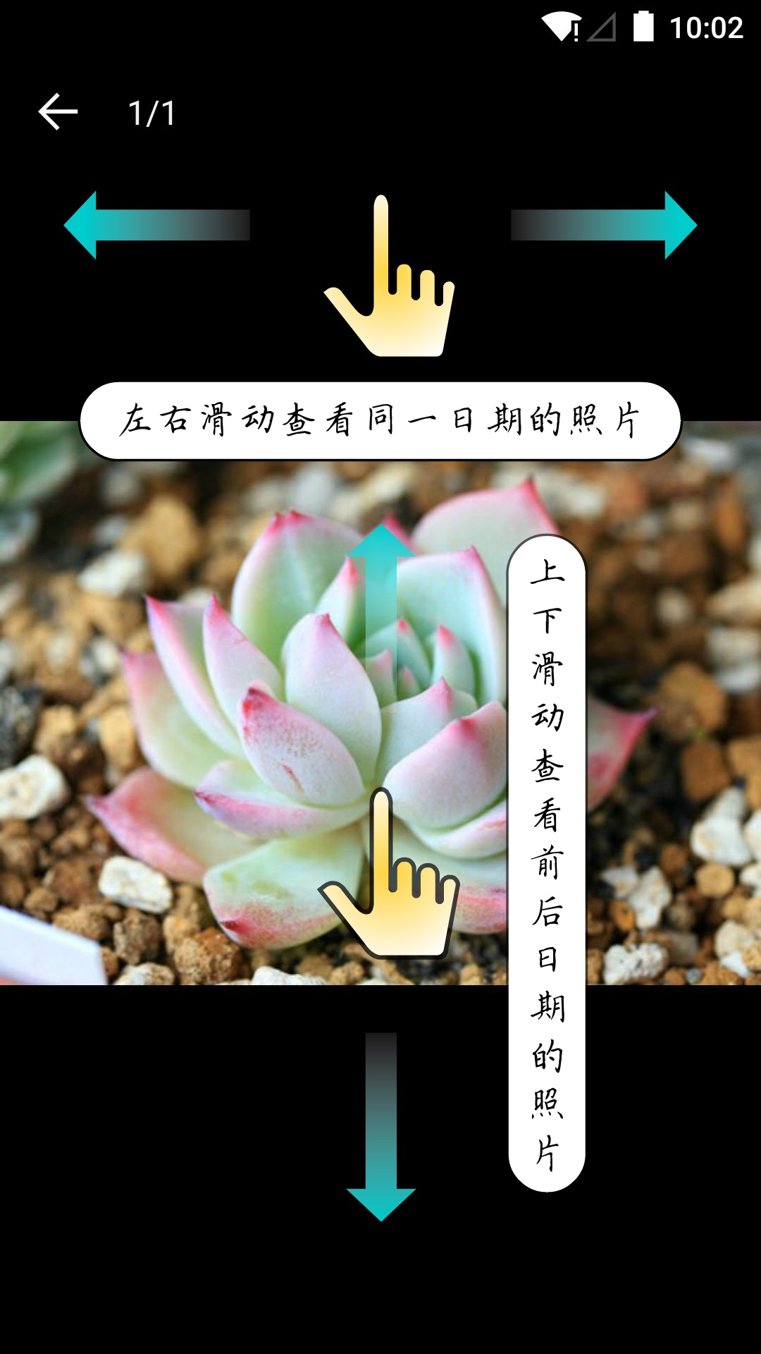 多肉成长记软件3