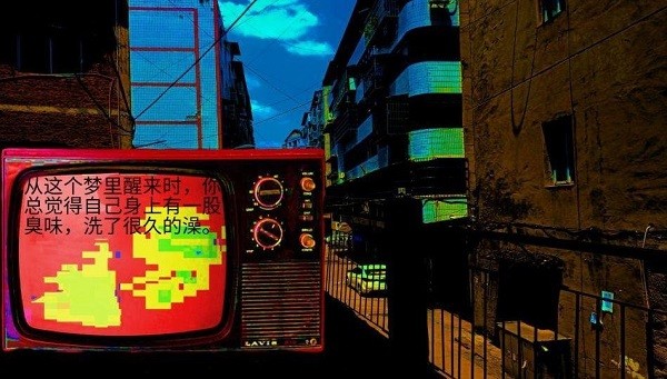 变成鸟的那一天游戏3