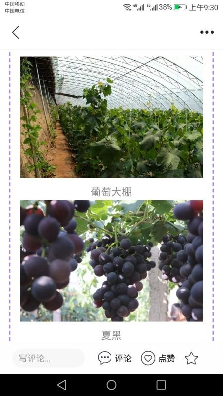 冀云怀来app2