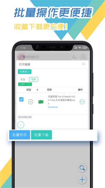 飞鸟下载器2