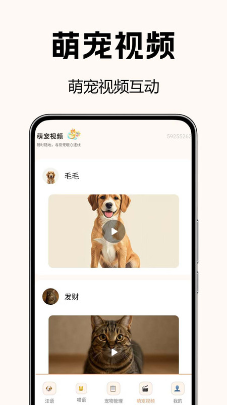 狗猫交流翻译免费版4