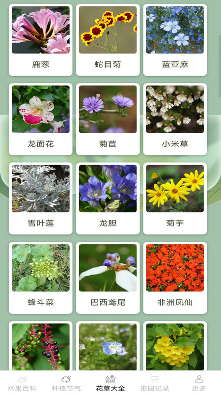 绿意果蔬最新版3