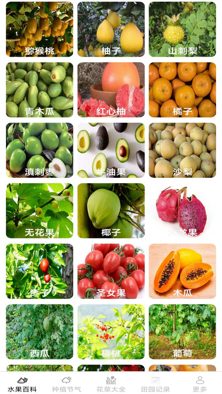 绿意果蔬最新版4