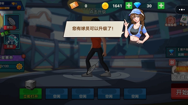 疯狂羽毛球游戏3