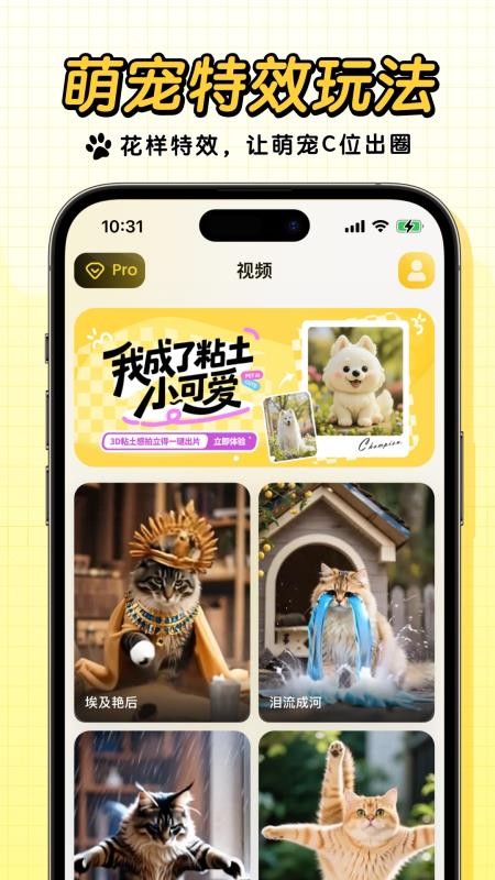 宠玩全新版