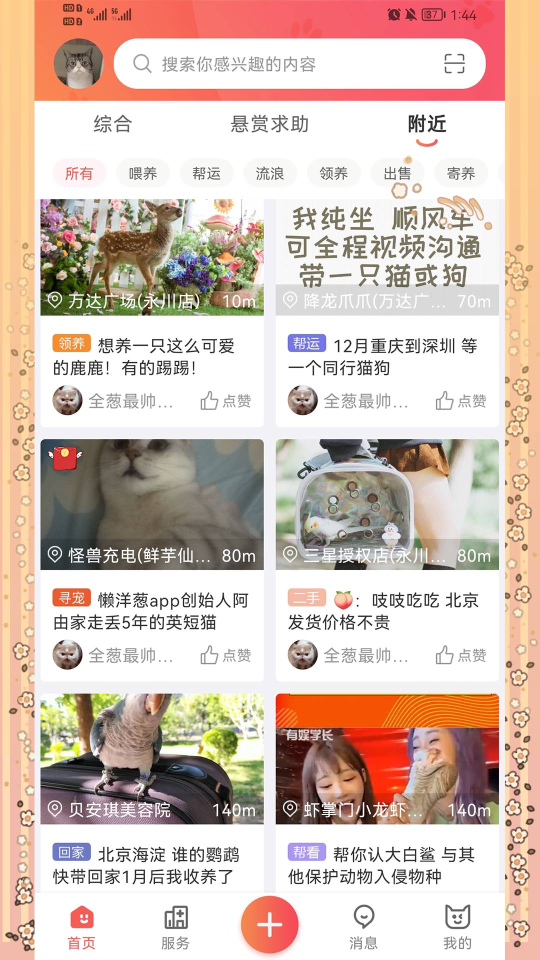 懒洋葱app1