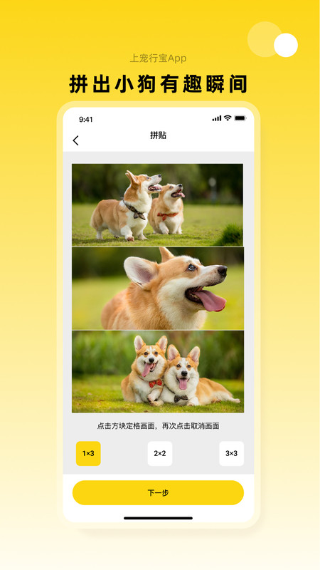 宠行宝app2