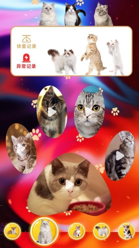 agosda翻译助手app1