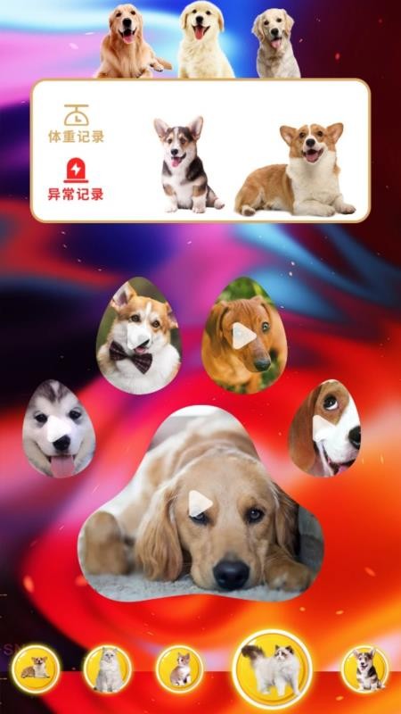 agosda翻译助手app2