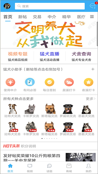 猛犬俱乐部1