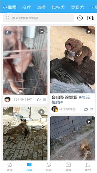 猛犬俱乐部3