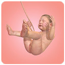 Idle 9 Months