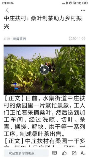 莱西融媒app2